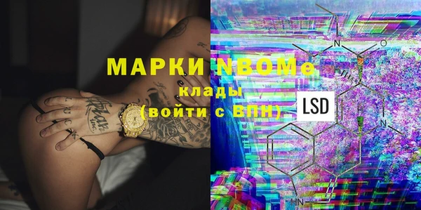 амф Бердск