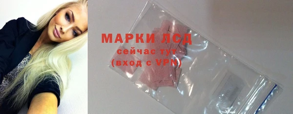 амф Бердск