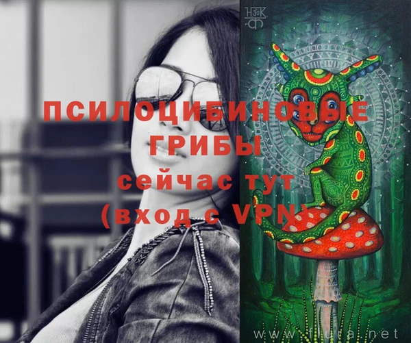 mdpv Михайловск