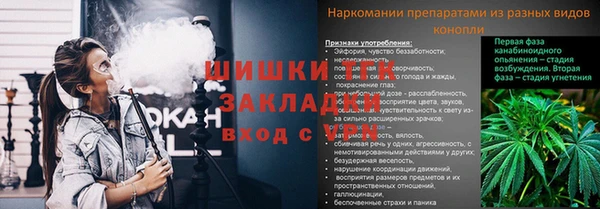шишки Михайлов