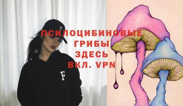 амфетамин Медвежьегорск