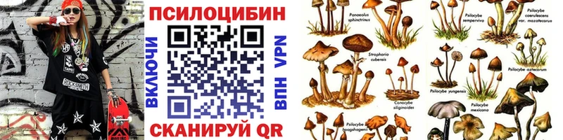кракен онион где купить Вышний Волочёк Галлюциногенные грибы прущие грибы